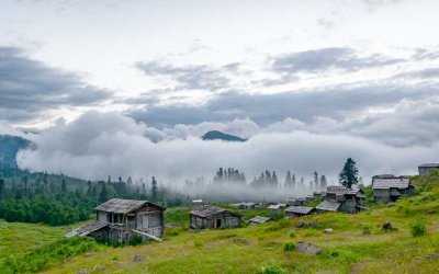 Artvin YAYLALARINA GİDİYORUZ...