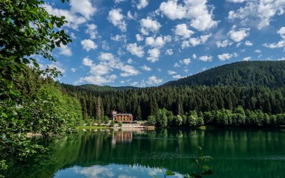 Artvin YAYLALARINA GİDİYORUZ...