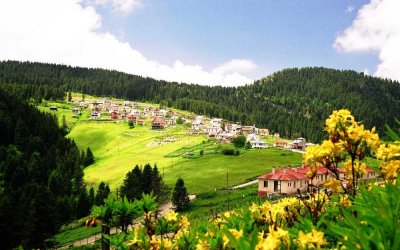 Günübirlik GİRESUN YAYLALARI