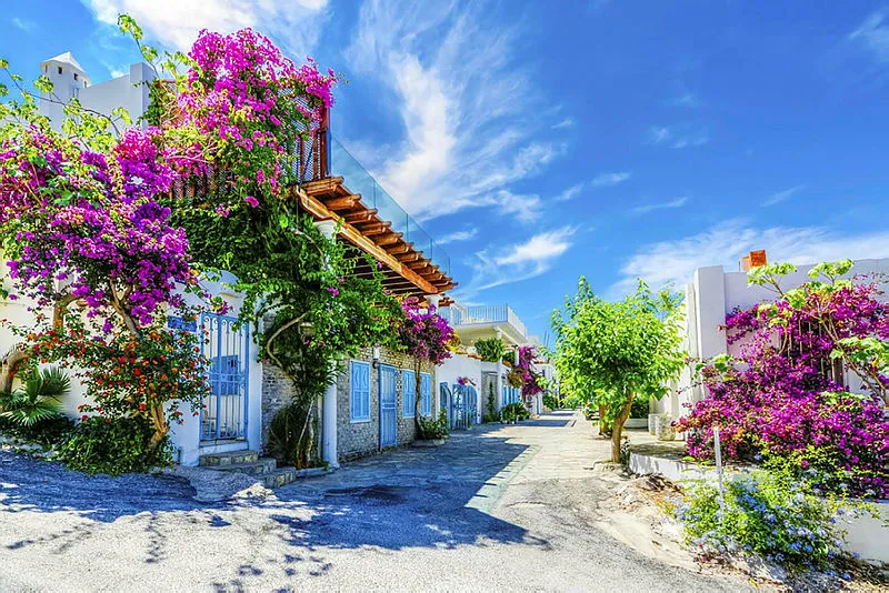 Temmuz Ayına Özel KUZEY EGE TURU