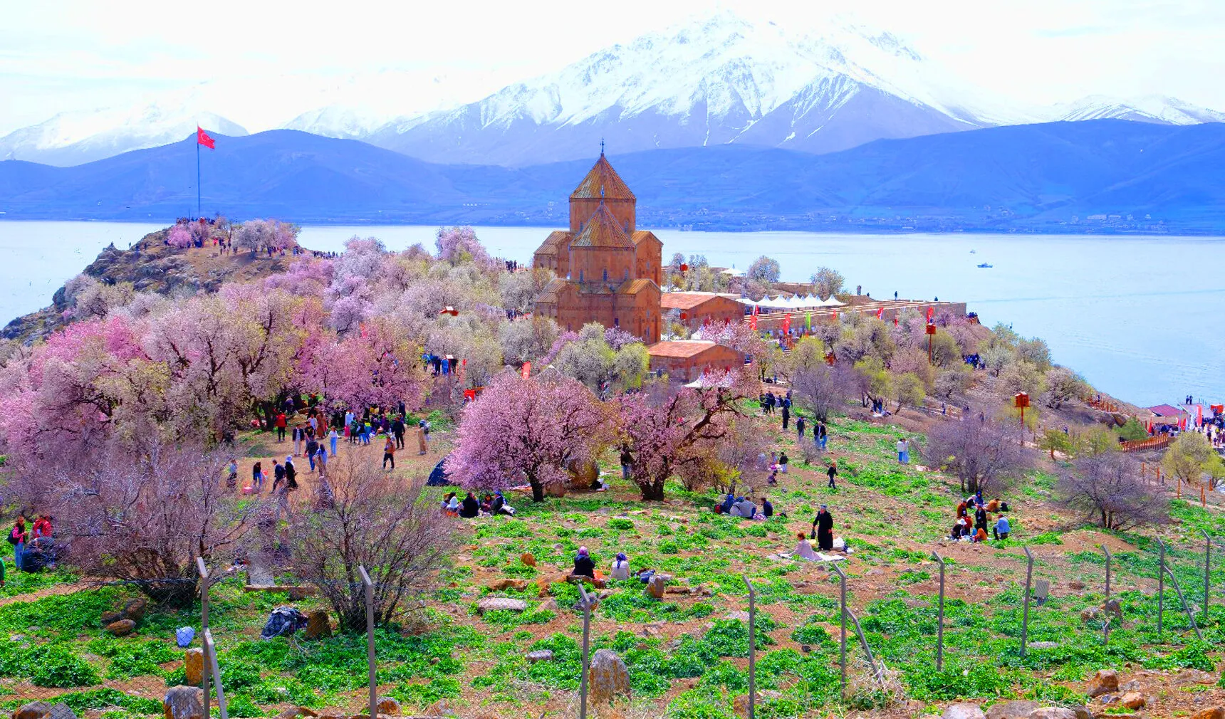 4. Van Akdamar BADEM ÇİÇEĞİ FESTİVALİ